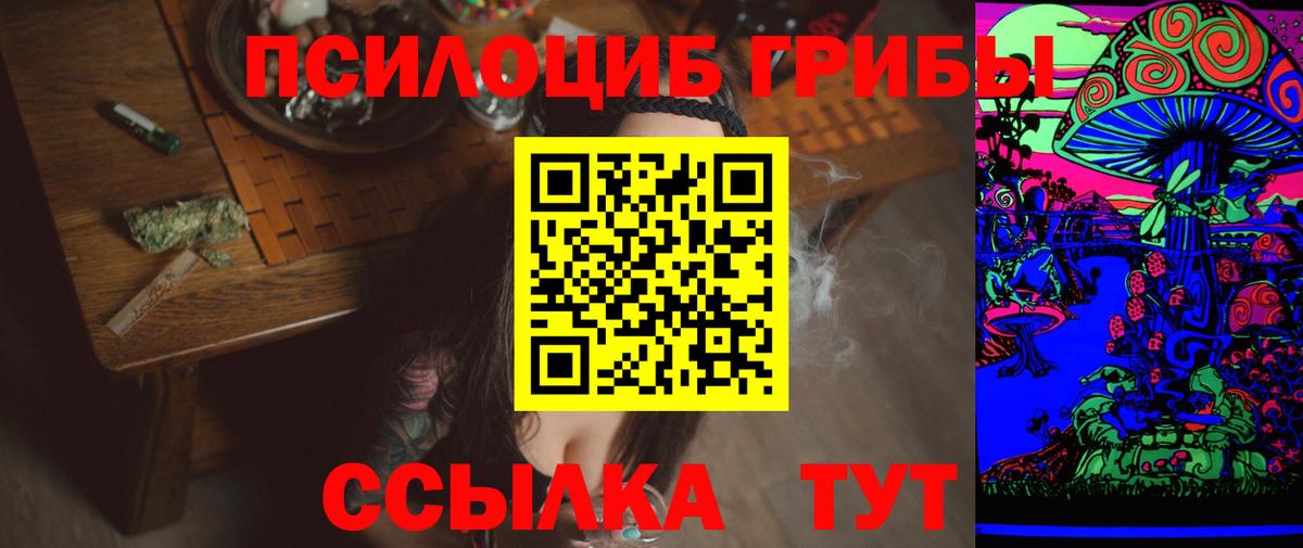 Галлюциногенные грибы Psilocybe  даркнет сайт  Будённовск  Вход с VPN  Галлюциногенные грибы Psilocybine cubensis 