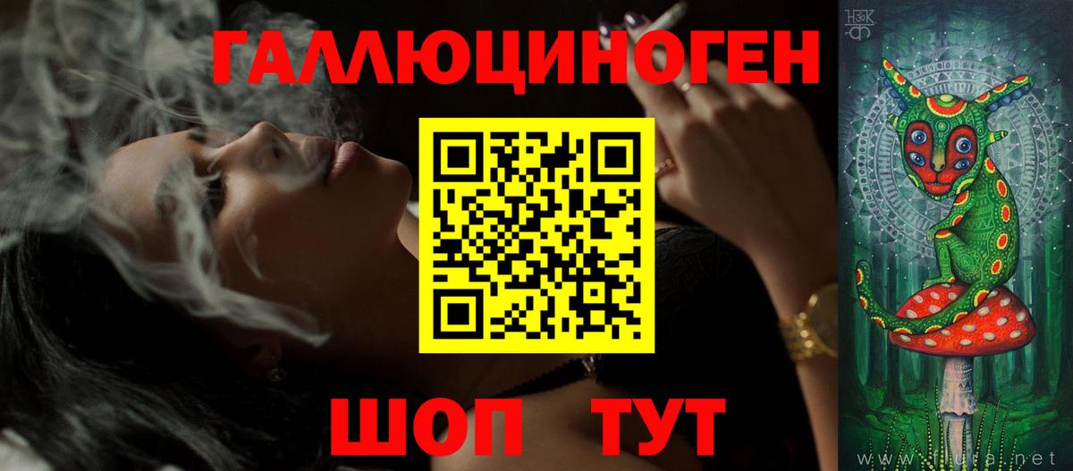 Псилоцибиновые грибы Psilocybe Будённовск